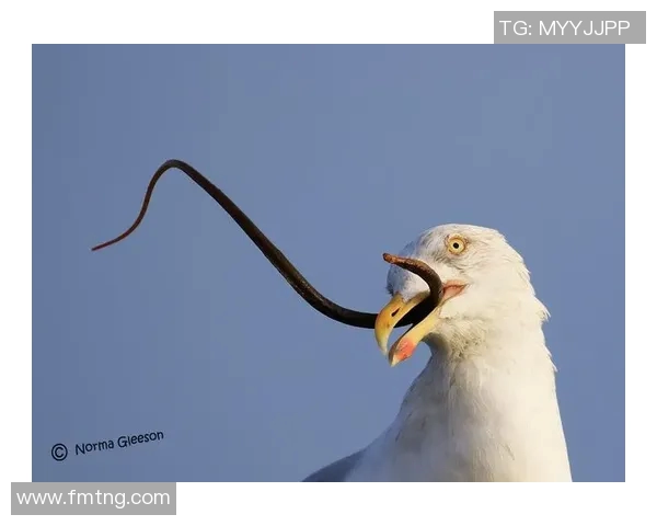 维克托在激烈对决中被敌方单杀赛场局势瞬息万变引发热议