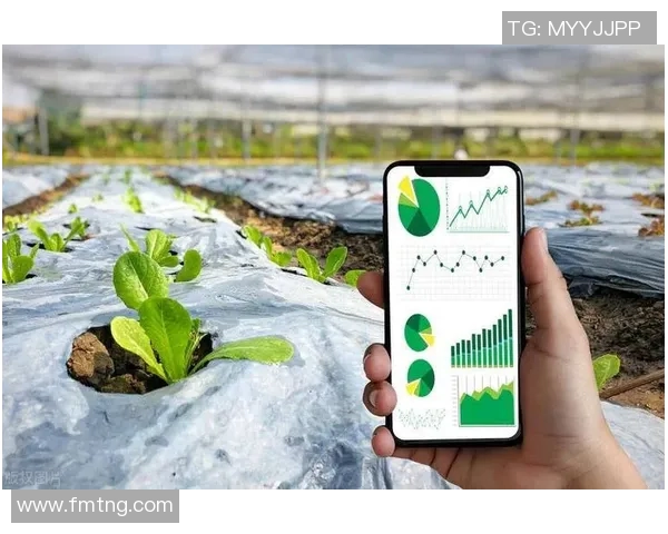 探索Elk希维尔输出的潜力与应用场景分析